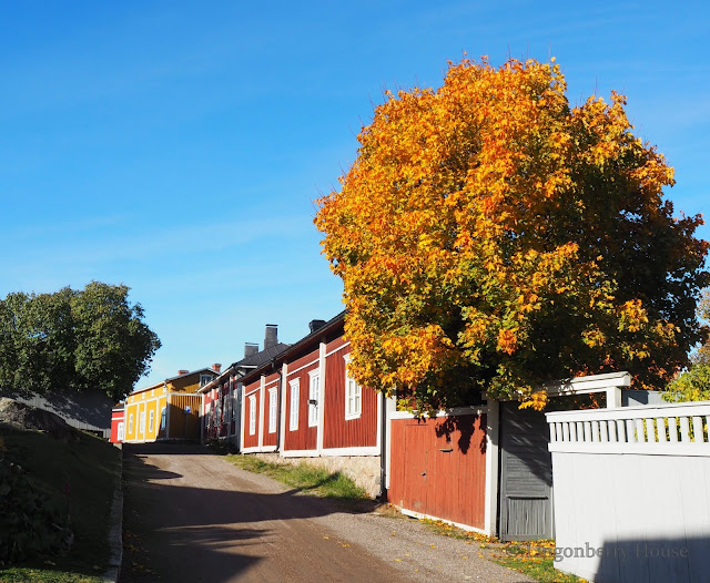 lingonberryhouse, autumn, syksy, ruska, sunny day