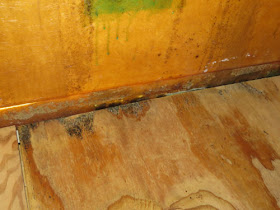 moldy plywood board