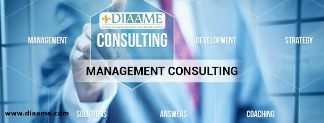 Management Consulting services