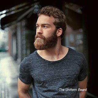 Beard Styles of 2017 