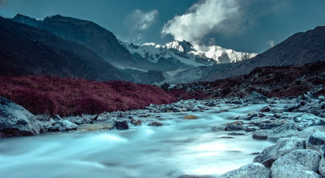 goechala trek monsoon images