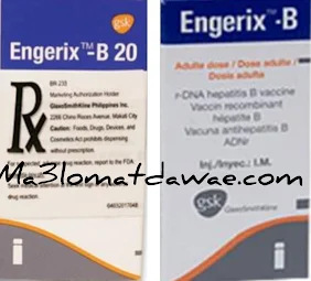 لقاح engerix,engerix دواء,ماهو engerix b,engerix b,engerix b20,دواء engerix b,engerix b دواء