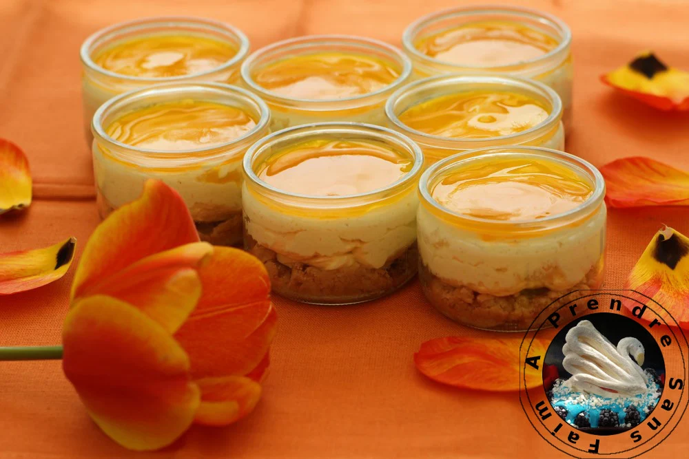 Cheesecakes express mangue fruits de la passion