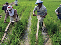 Bentuk Ancaman Di Bidang Sosial Budaya