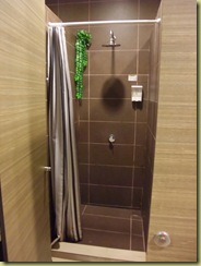 Singapore Shower