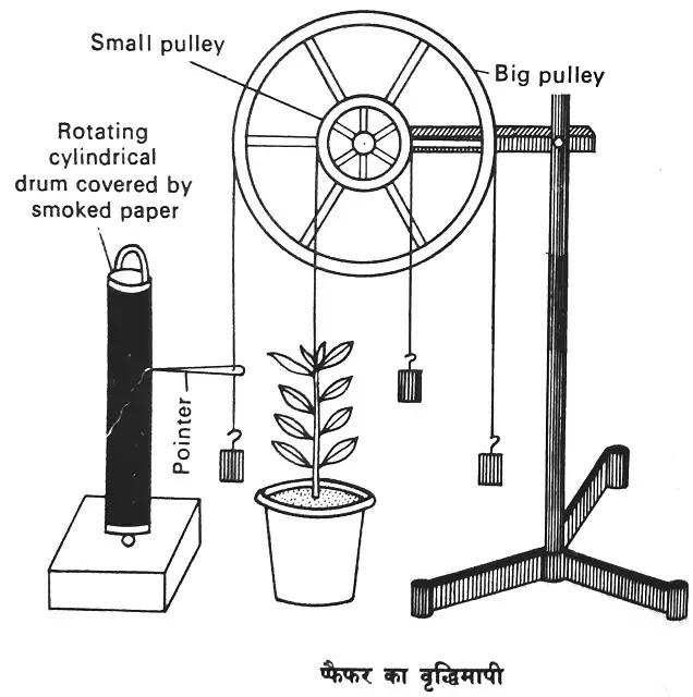 पौधों में वृद्धि का मापन (Measurement of Growth in plants)|hindi
