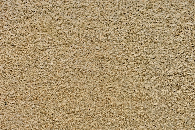 Dirty carpet texture