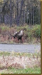 WP_20131002_011