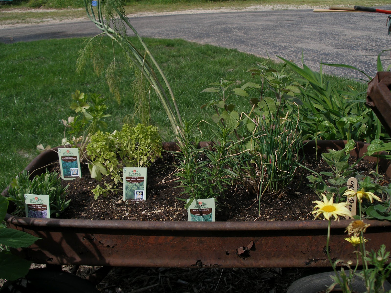 The Stone House Primitives: The Outhouse Garden