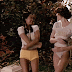5 gifs