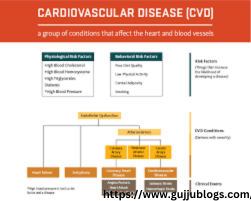 A List of Cardiovascular Diseases: The 10 Most Common