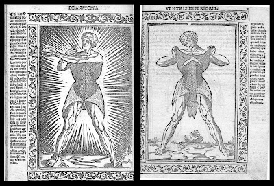 Berengario - woodcuts of human anatomy