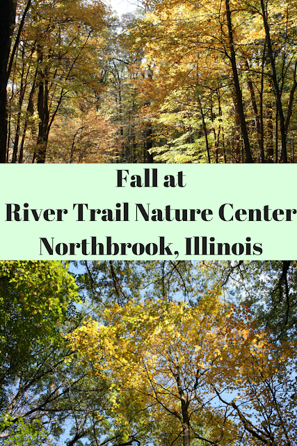 Fall colors at River Trail Nature Center in Northbrook, Illinois