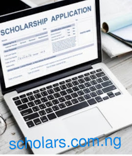 Fellowships and Scholarships