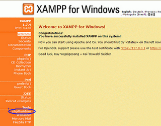 install-xampp server