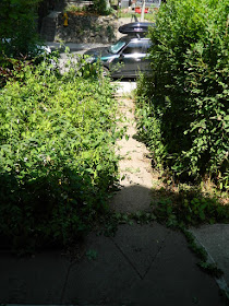 Leslieville Summer Front Garden Cleanup Before by Paul Jung Gardening Services--a Toronto Gardening Company