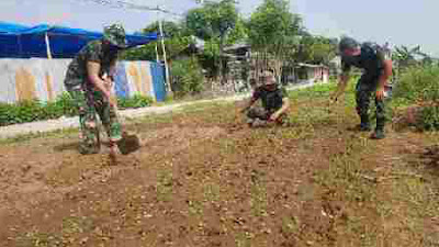 *Upaya Babinsa Koramil 04/Cengkareng Dukung Ketahanan Pangan Nasional*  