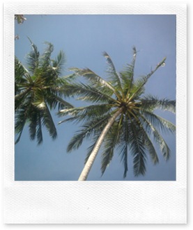 palawan (10)