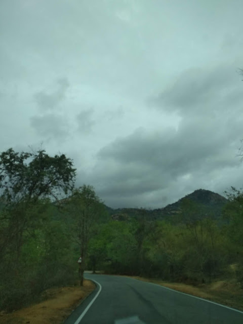 Cauvery Melagiri Hills Kenneth Anderson Eastern Ghats Western Ghats