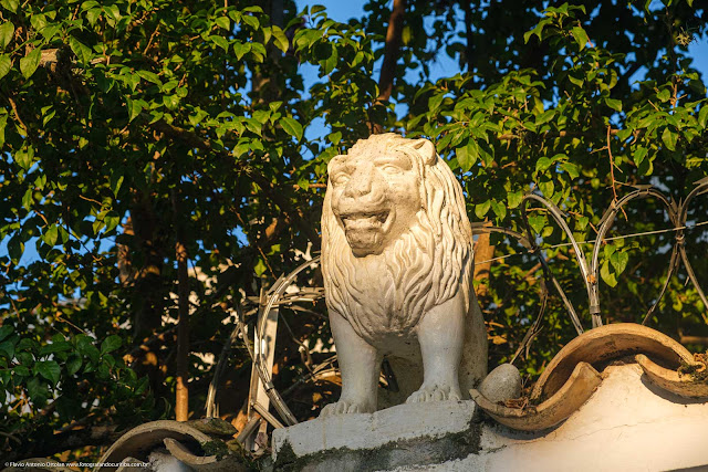 Escultura de leão sobre um muro