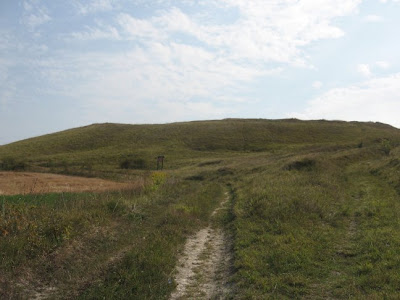 Rezerwat Krzyżanowice