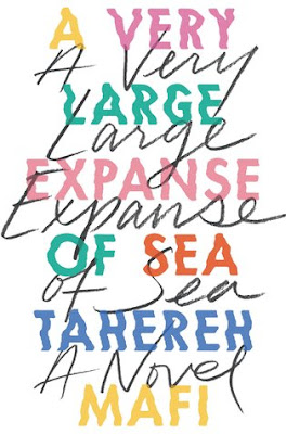 https://www.goodreads.com/book/show/38720939-a-very-large-expanse-of-sea