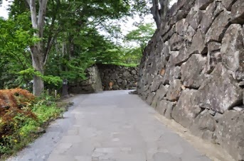 DSC 0401