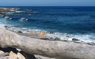 la Playa del del Rabo