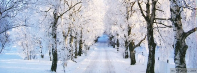  Winter Wonderland facebook cover 