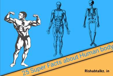 25 Human body Facts that improve biological knowledge about body