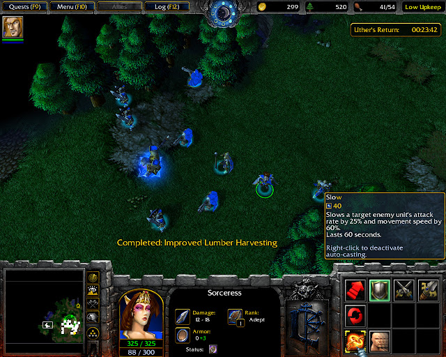 Sorceress Screenshot I Warcraft 3: Reign of Chaos