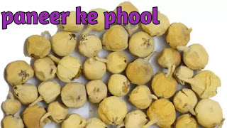 Paneer ke phool ke labh