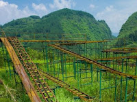 Wow Roller coaster di Hutan