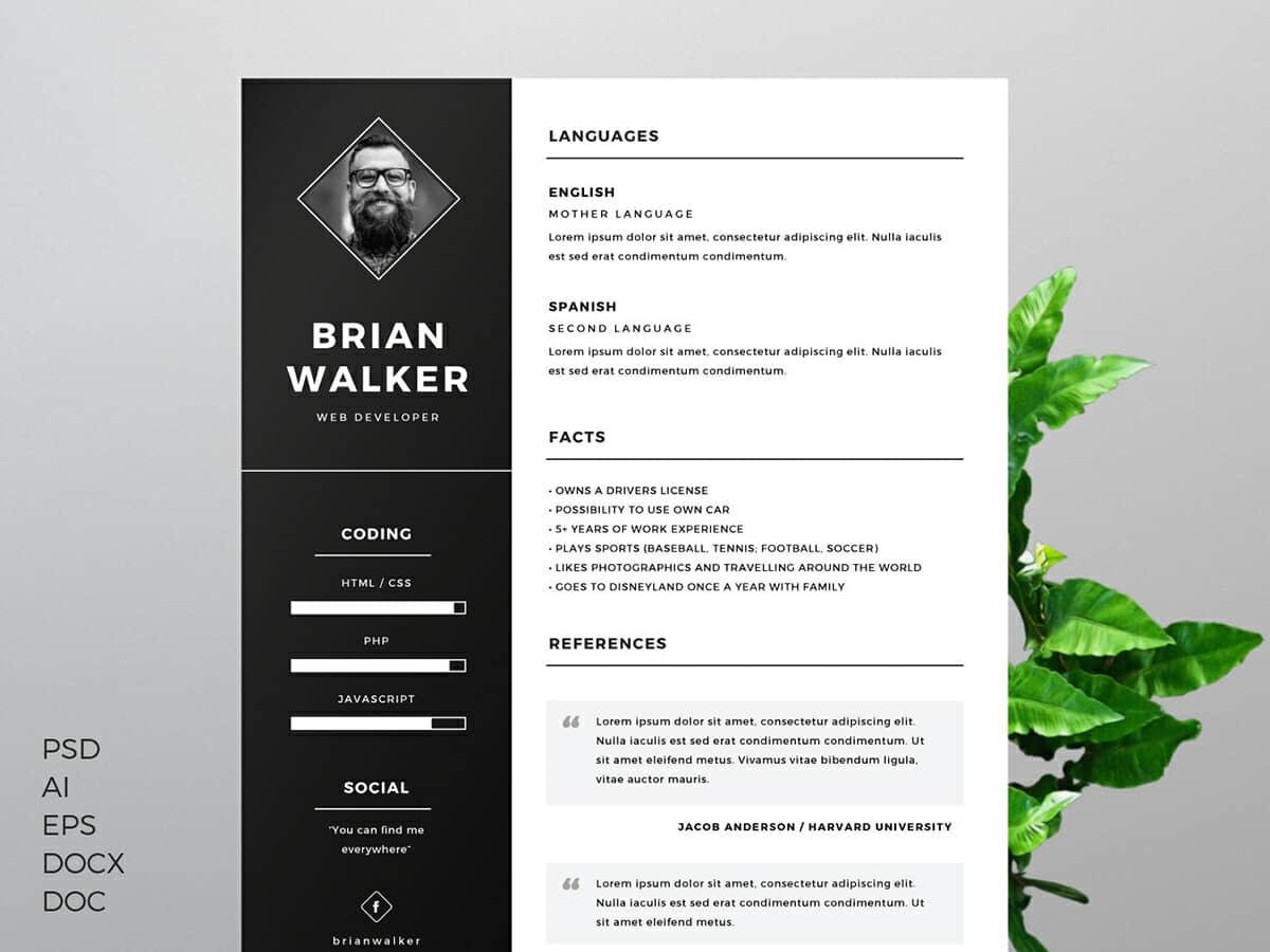 25 Resume Templates For Microsoft Word Free Download 25 Resume Templates For Microsoft Word Free Download