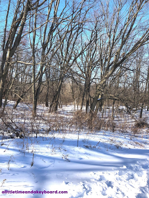 Sculpted landscape adds an extra level of wonder at Burnidge Forest Preserve in Kane County, Illinois