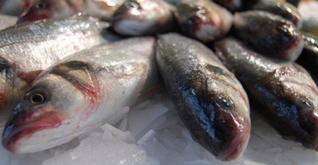 Doença de Haff leva alerta para consumo de peixe na Semana Santa