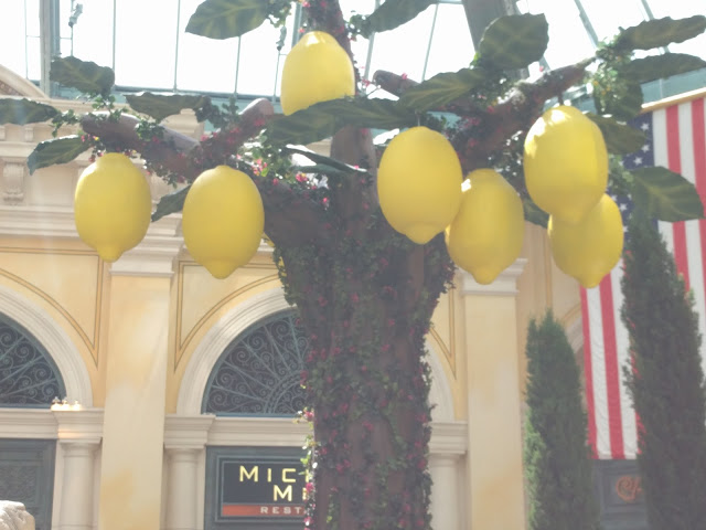 Bellagio Conservatory Summer Display