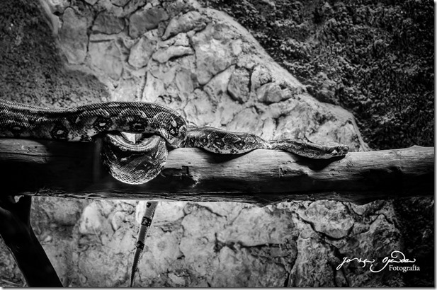 16566161535_d5ccd92a55_b