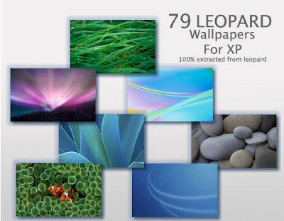 Latest Wallpapers Of Windows Xp. nobodyuse has posted 79 Leopard Wallpaper for Windows XP on TrucsenVrac site
