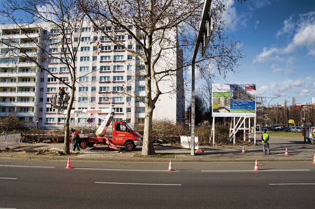 Baustelle Baumfällarbeiten, Otto-Braun-Straße / Mollstraße, 10178 Berlin, 13.02.2014