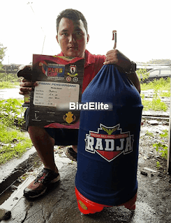 Inilah Setelan Lomba Lovebird Bopeng Milik Abah Krisna