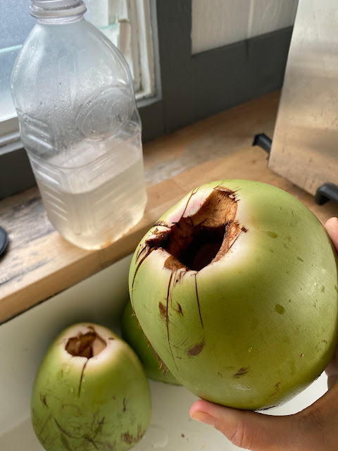 green coconuts cut open at the top