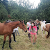 Arrasate: sesión de 'coaching' con caballos para tratar los problemas
de adicciones