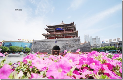 China496
