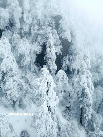 Mount Emei Shan & Golden Buddha - Sichuan's Sacred Mountain in Winter 峨眉山