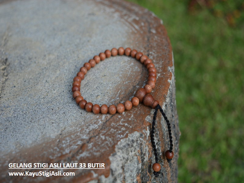 Trend Terbaru Manfaat Gelang Kayu Stigi Laut