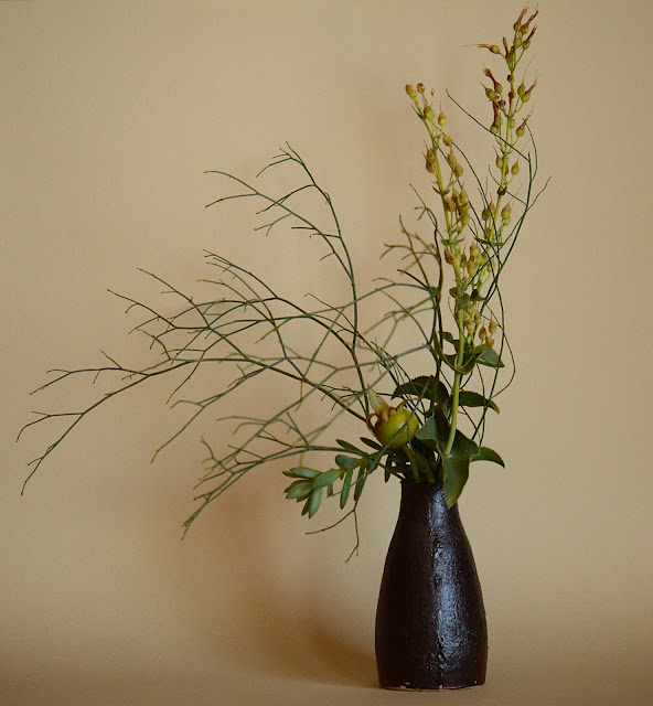 monday vase, small sunny garden, amy myers, desert garden, 