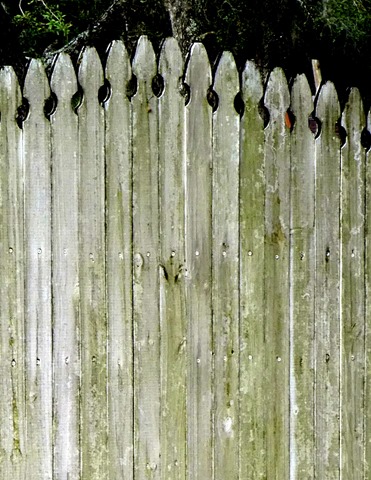 P1090310