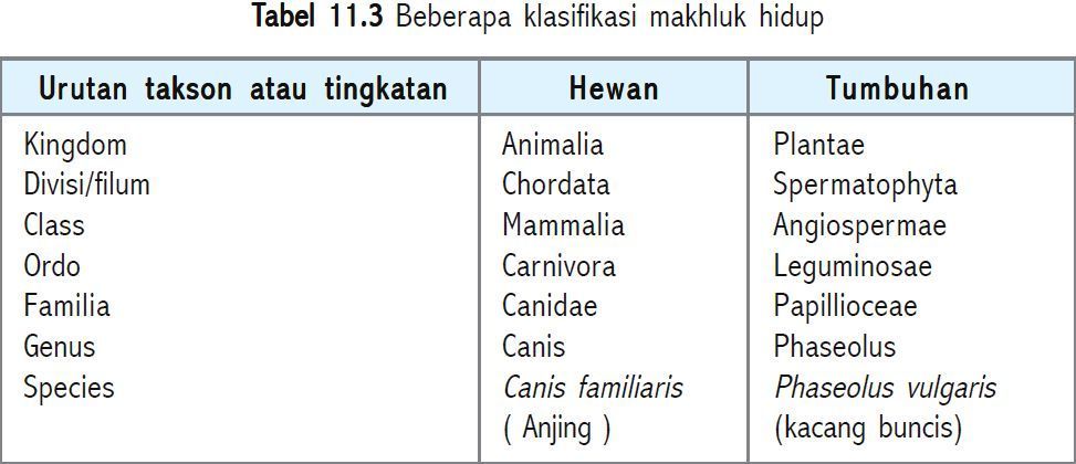 Klasifikasi Makhluk Hidup  sulthon_32