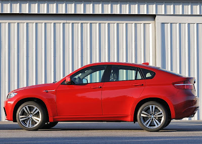 2010 BMW X6 M Side View